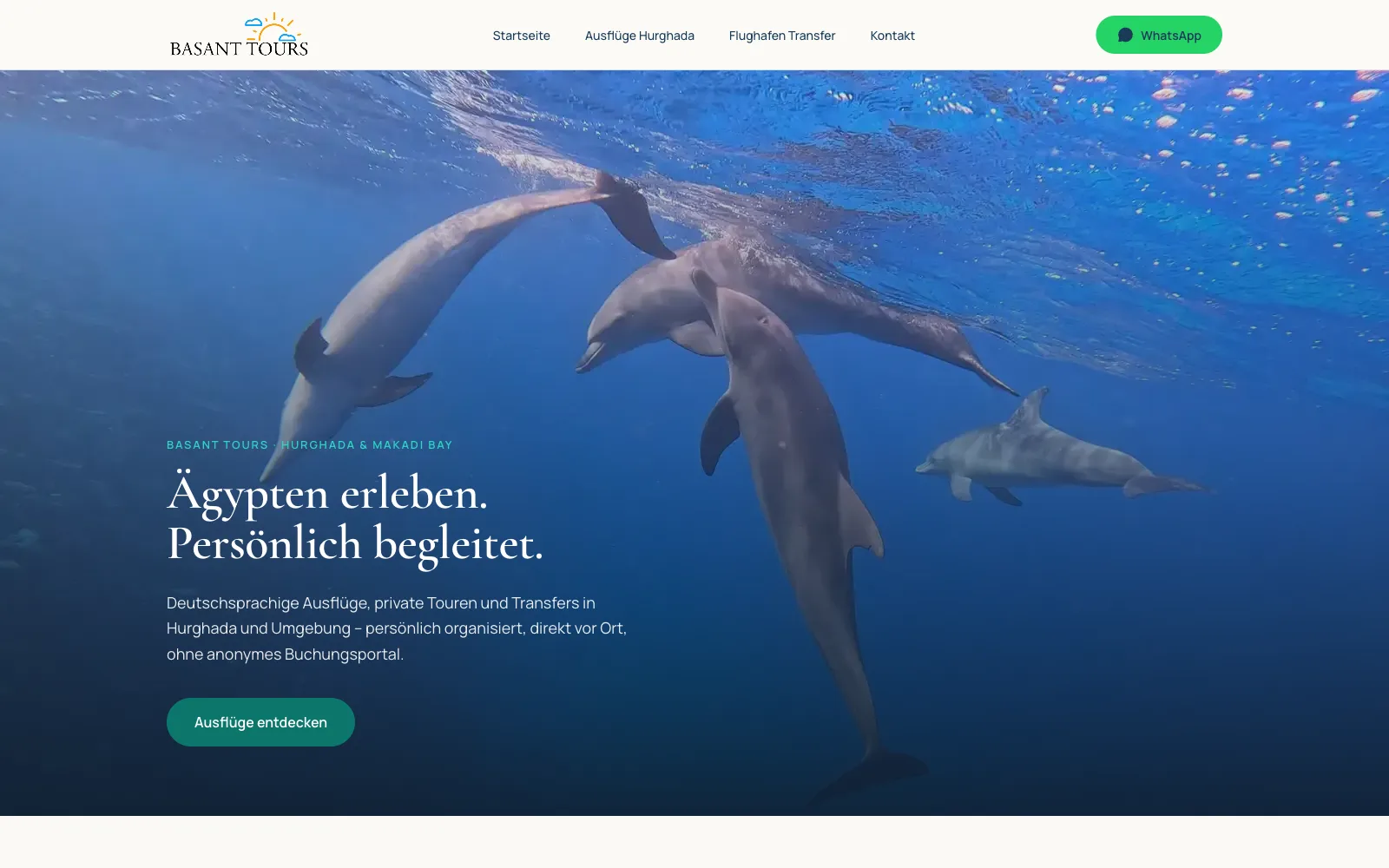 Detailansicht der Website von Basant Tours